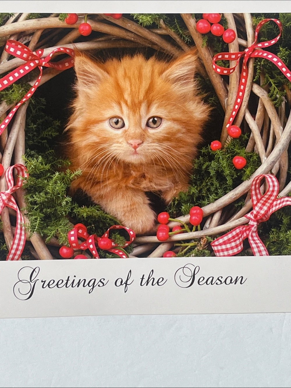 Kitten Christmas Card - Picture 2 of 9
